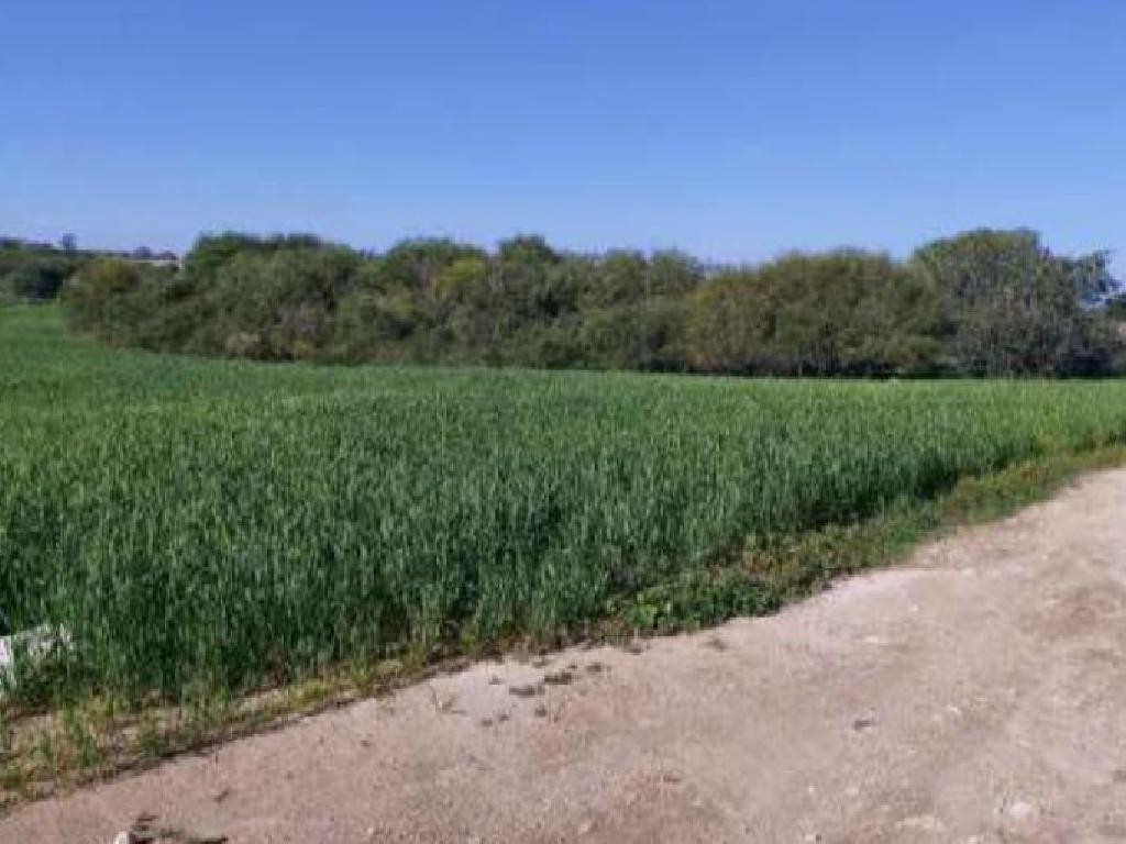 Paralimni, Famagusta Agricultural Field For Sale | WW30649