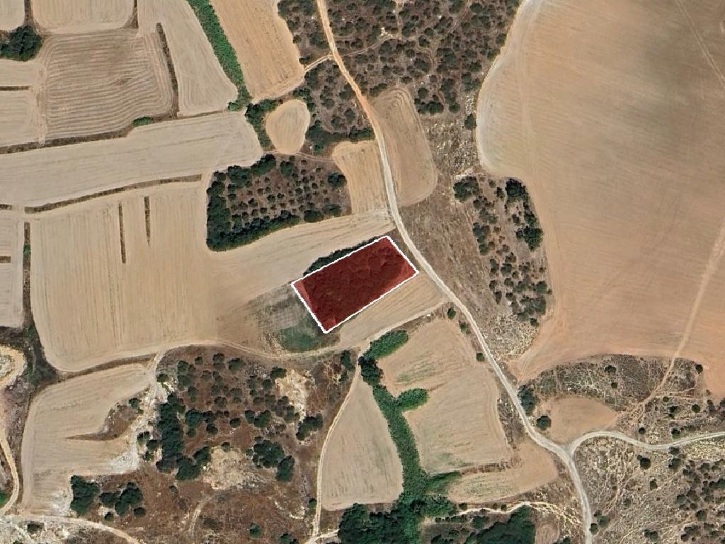 Field - Paralimni, Famagusta