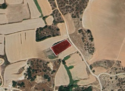 Paralimni, Famagusta Agricultural Field For Sale | WW30649