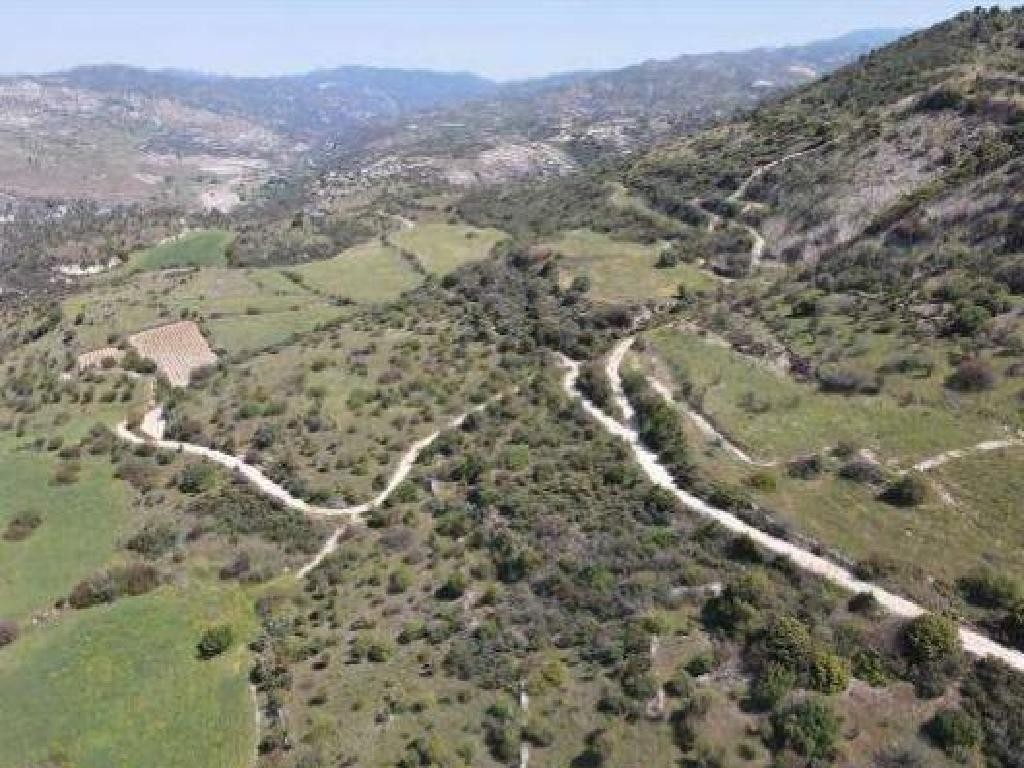 Dora, Limassol Agricultural Field For Sale | WW30654