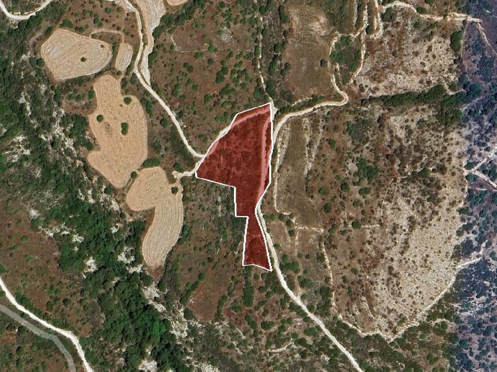 Field - Dora, Limassol