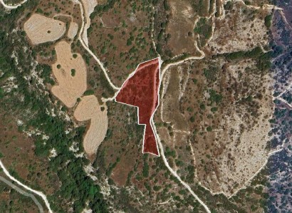 Dora, Limassol Agricultural Field For Sale | WW30654
