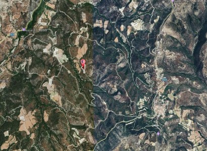 Dora, Limassol Agricultural Field For Sale | WW30654