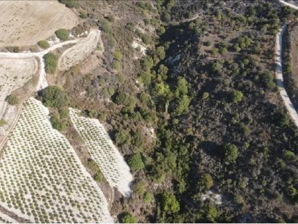 Field - Dora, Limassol