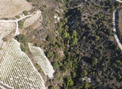 Dora, Limassol Agricultural Field For Sale | WW30655