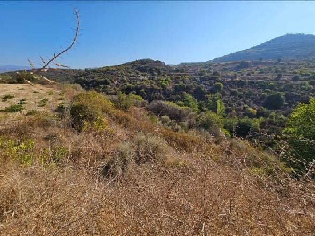 Field - Dora, Limassol