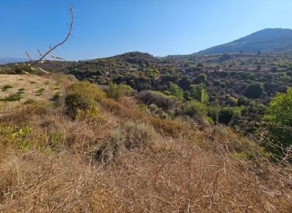 Dora, Limassol Agricultural Field For Sale | WW30655