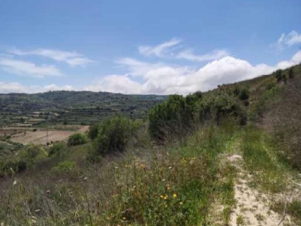Stroumbi, Paphos Agricultural Field For Sale | WW30660