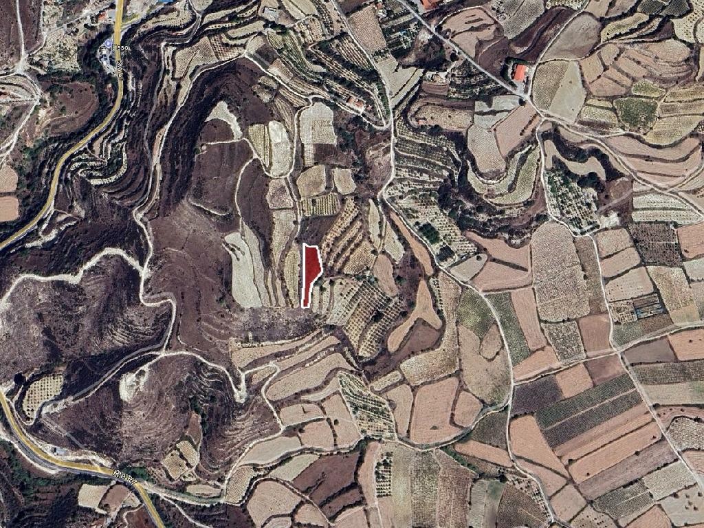 Field - Stroumpi, Paphos