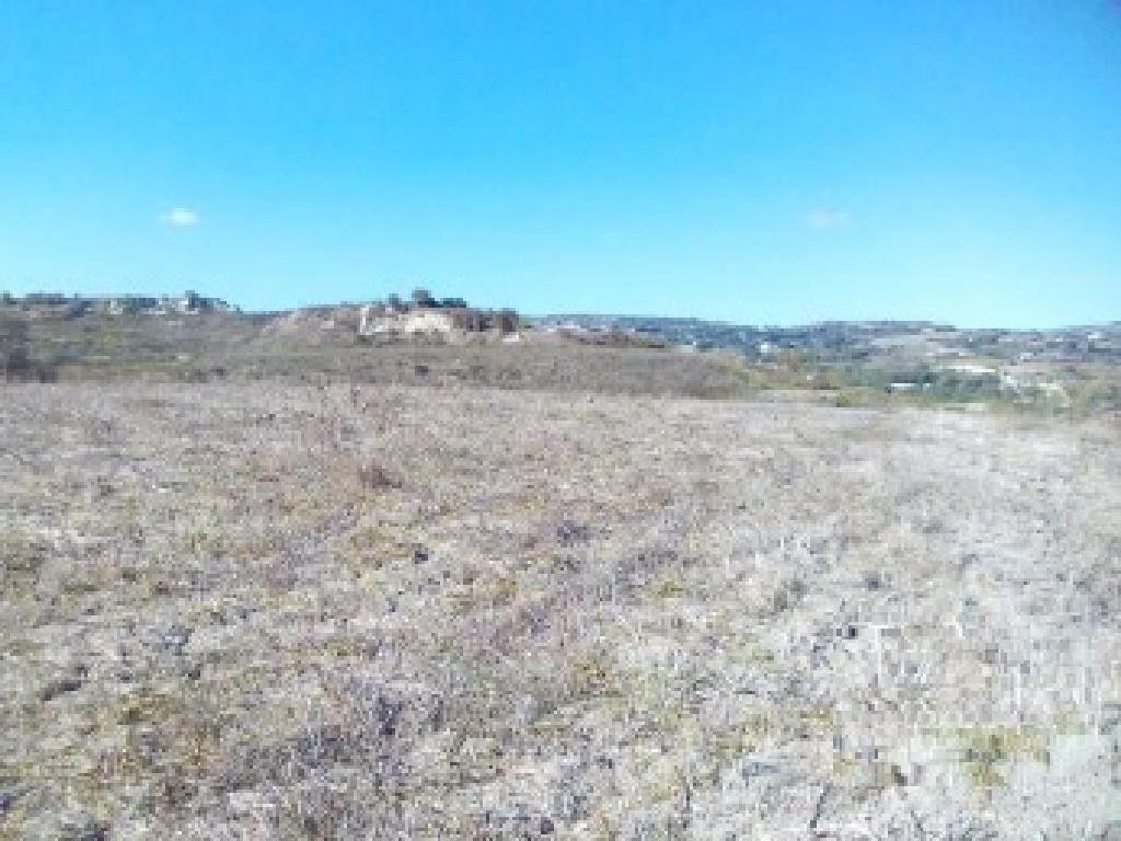 Field - Stroumpi, Paphos