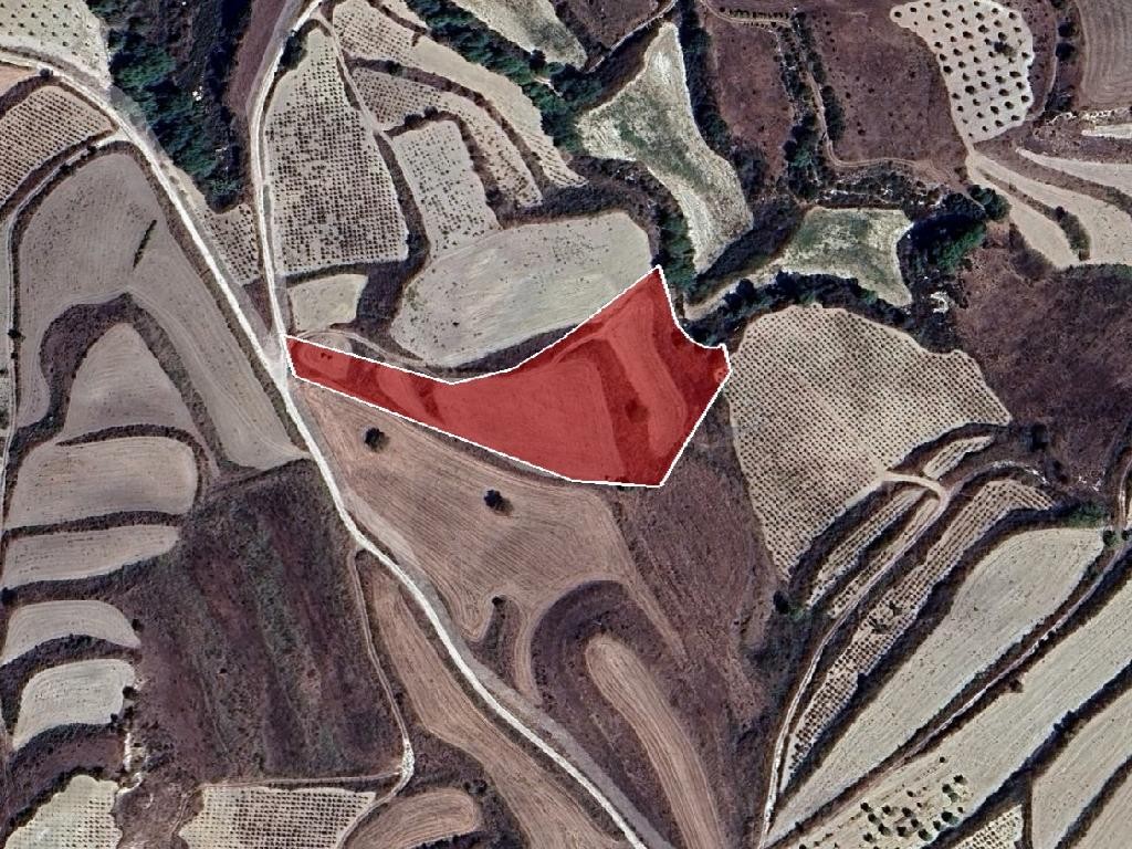 Field - Stroumpi, Paphos