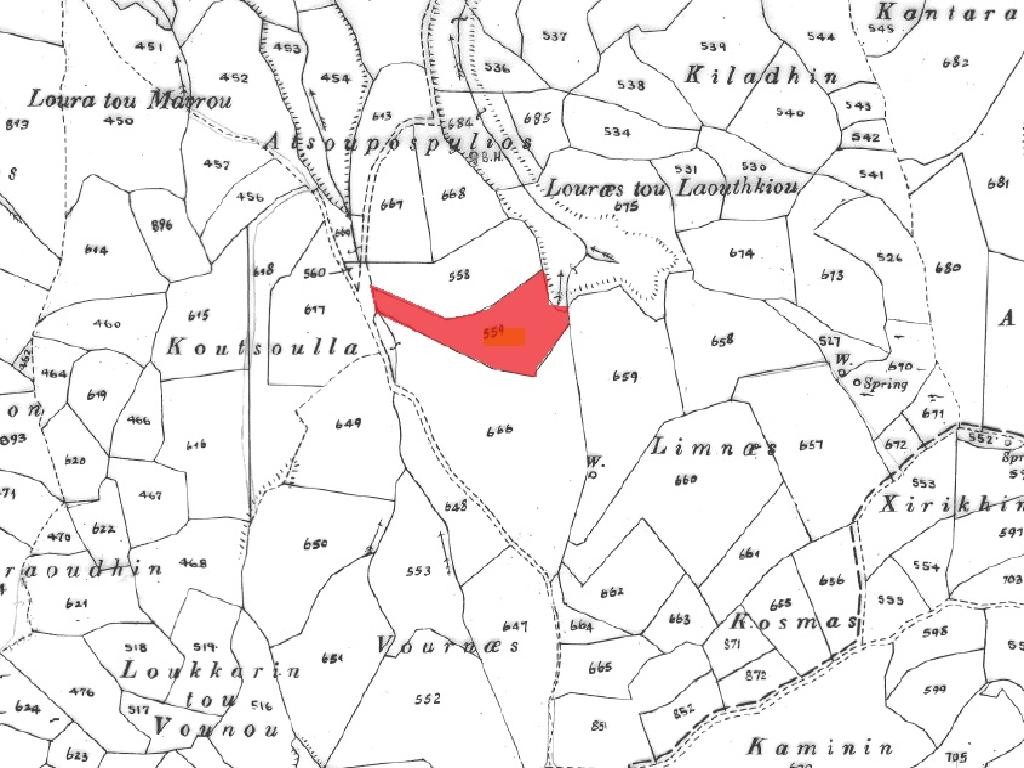 Field - Stroumpi, Paphos