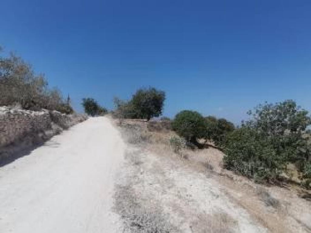 Koili, Paphos Agricultural Field For Sale | WW30666