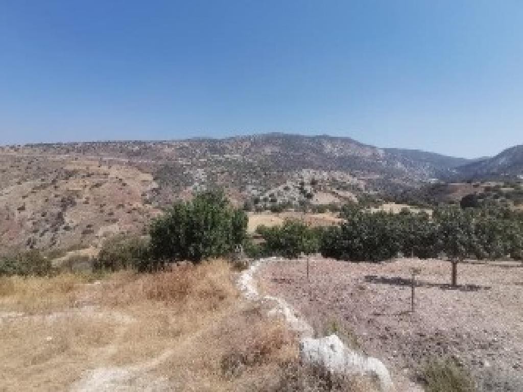Field - Koili, Paphos