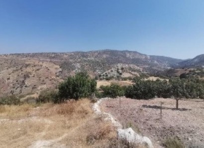 Koili, Paphos Agricultural Field For Sale | WW30666