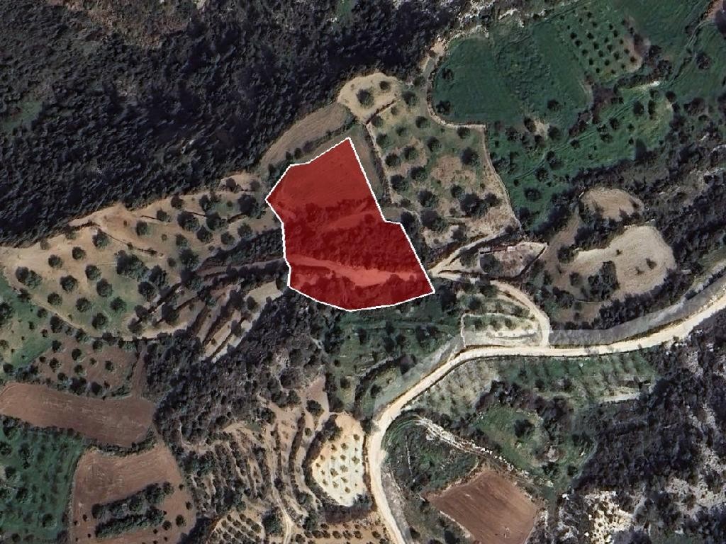 Field - Koili, Paphos