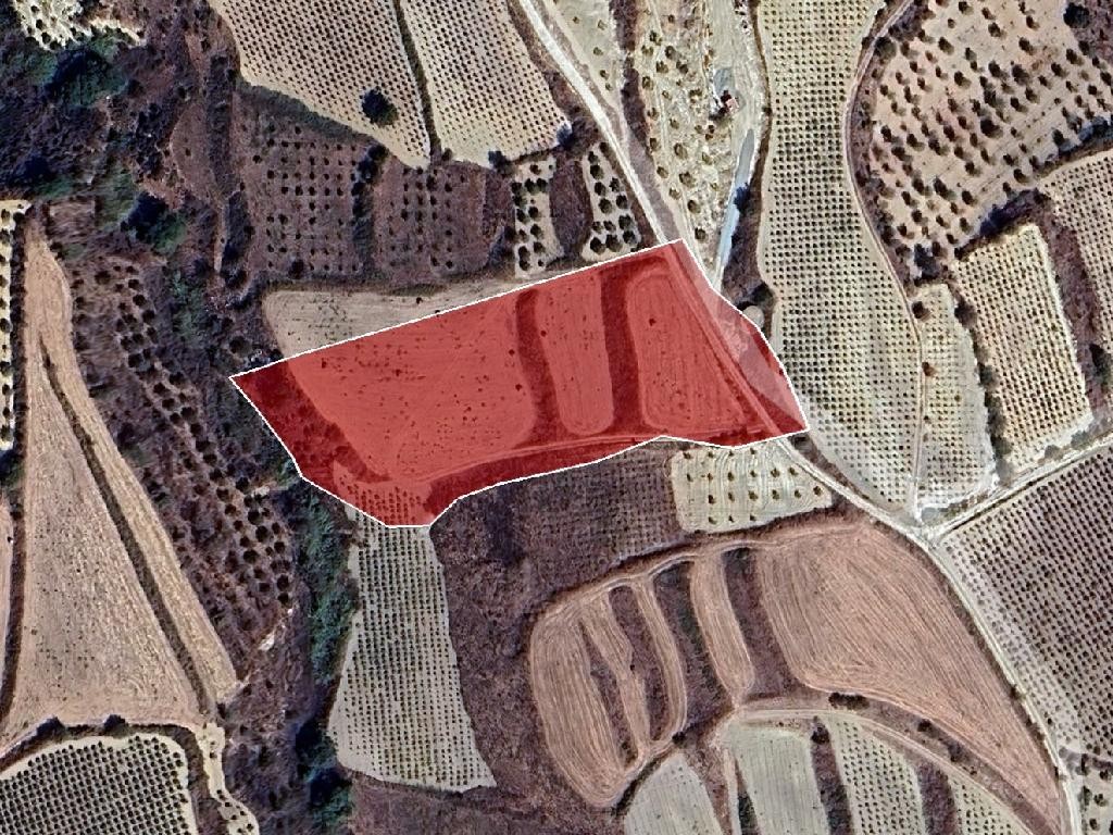 Field - Giolou, Paphos