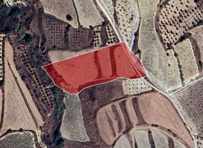 Giolou, Paphos Agricultural Field For Sale | WW30667