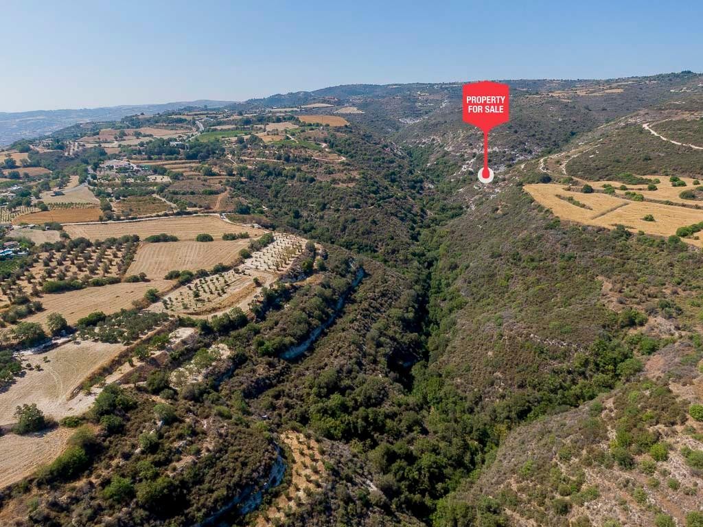 Kritou Tera, Paphos Agricultural Field For Sale | WW30674