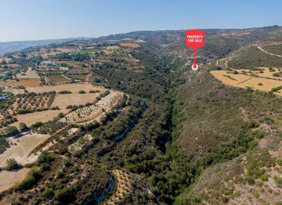 Kritou Tera, Paphos Agricultural Field For Sale | WW30674