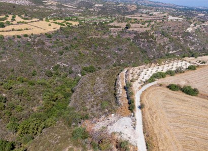 Kritou Tera, Paphos Agricultural Field For Sale | WW30674