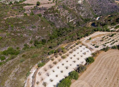 Kritou Tera, Paphos Agricultural Field For Sale | WW30674