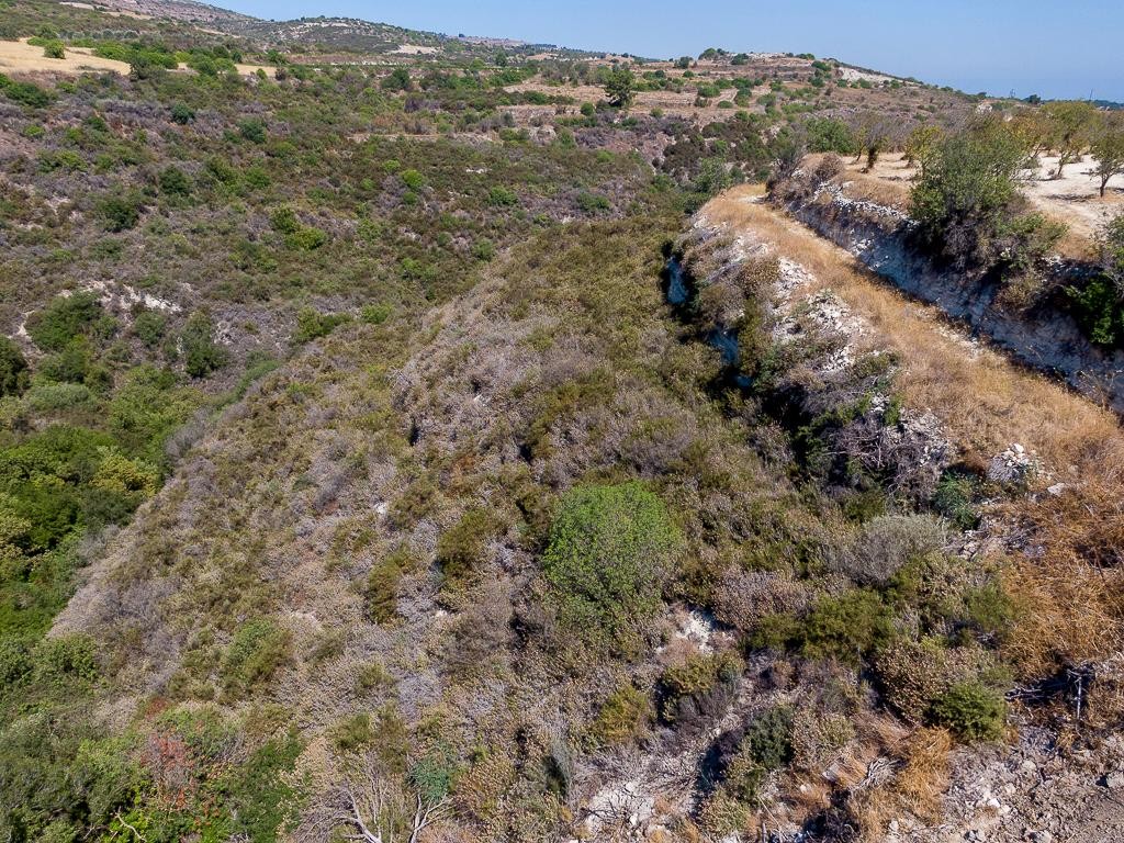Field - Kritou Tera, Paphos