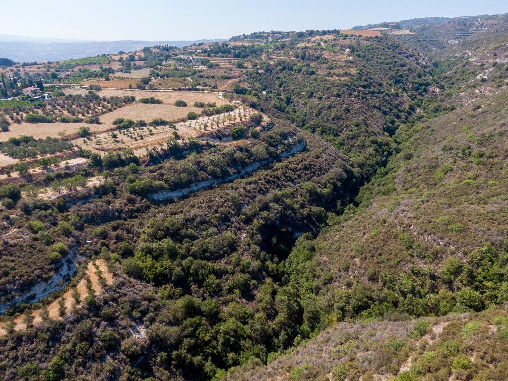 Field - Kritou Tera, Paphos