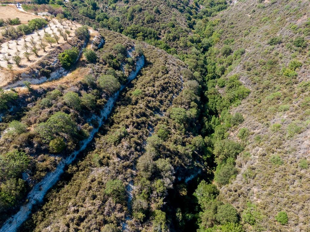 Field - Kritou Tera, Paphos