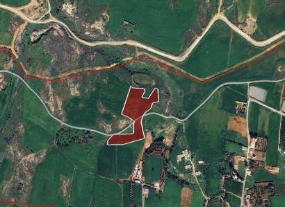 Dherynia, Famagusta Agricultural Field For Sale | WW30681