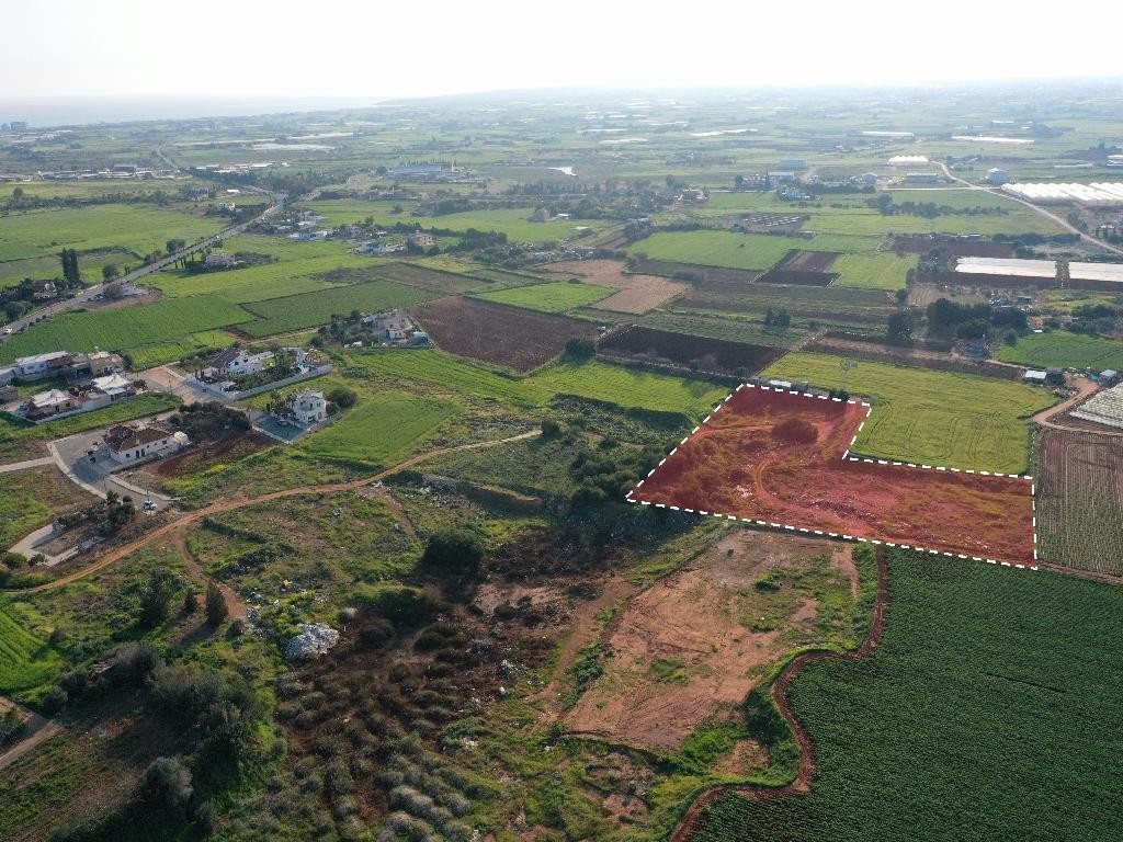Field - Sotira, Famagusta