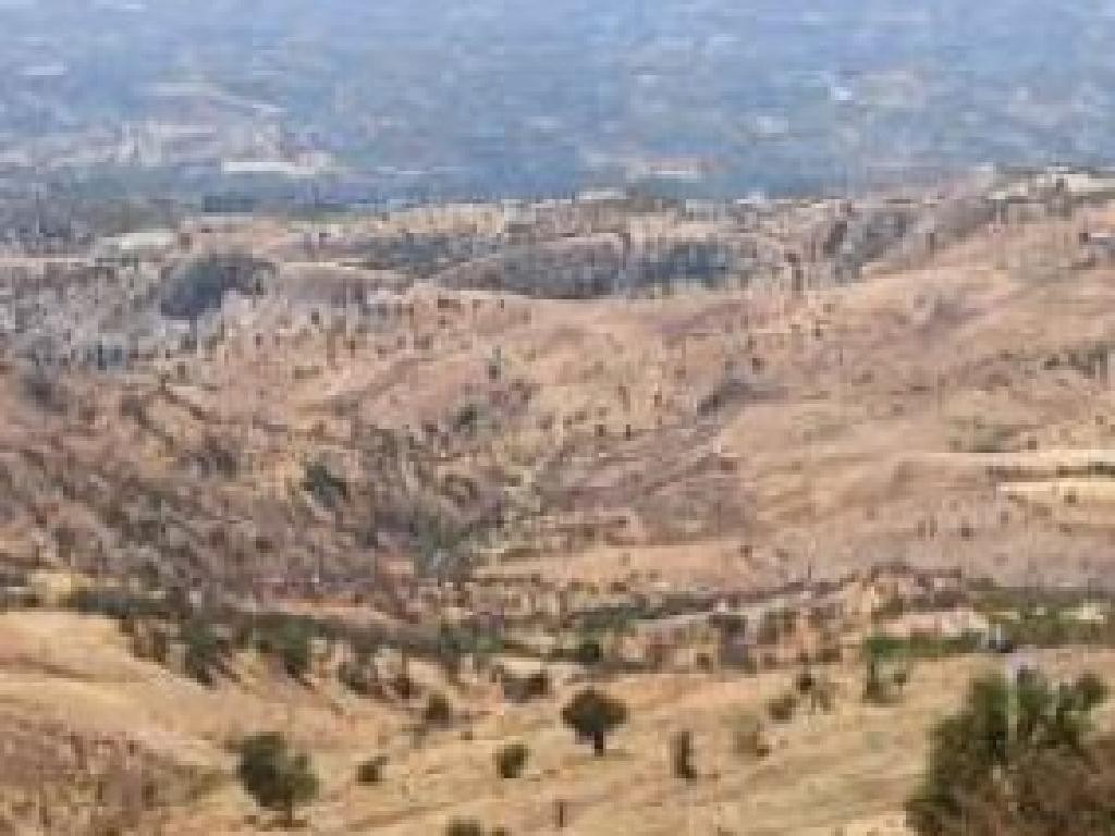 Pentalia, Paphos Agricultural Field For Sale | WW30684