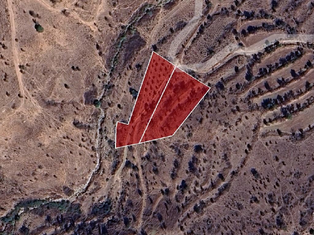 Fields- Pentalia, Paphos