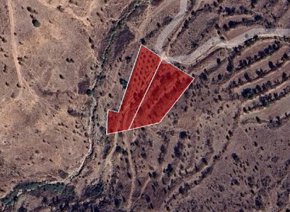 Pentalia, Paphos Agricultural Field For Sale | WW30684