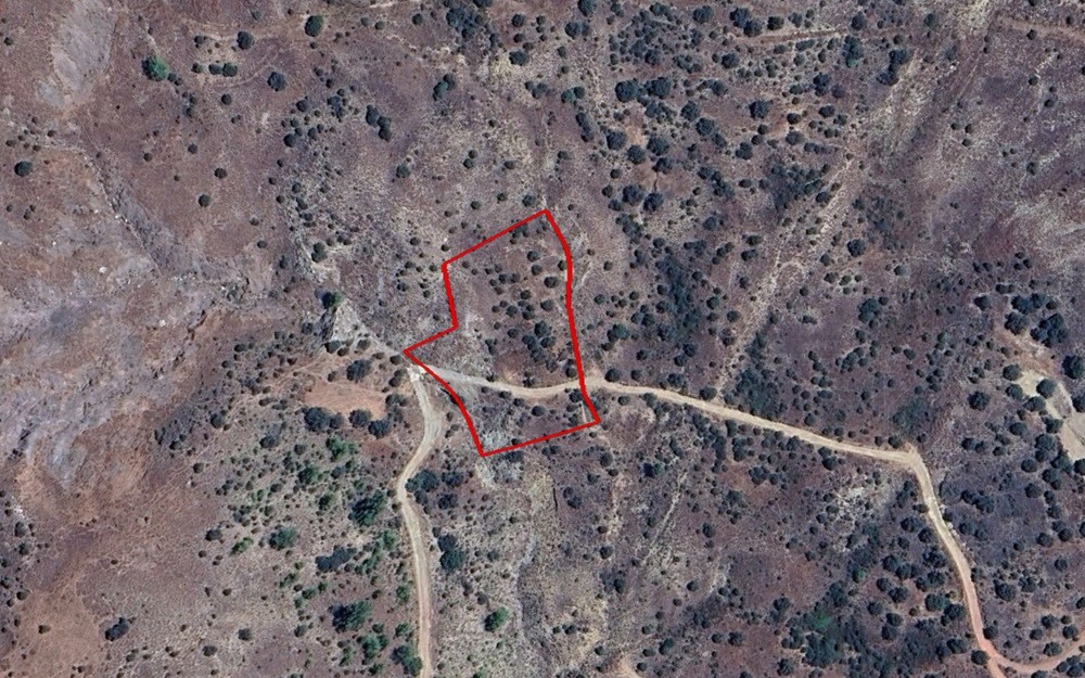 Pentalia, Paphos Agricultural Field For Sale | WW30690