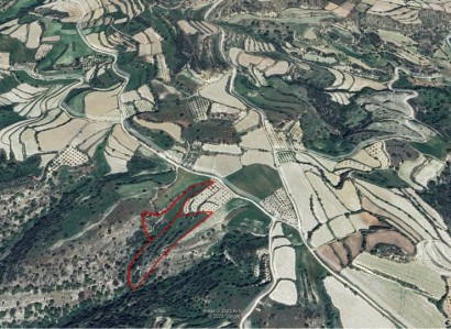 Letymvou, Paphos Agricultural Field For Sale | WW5158