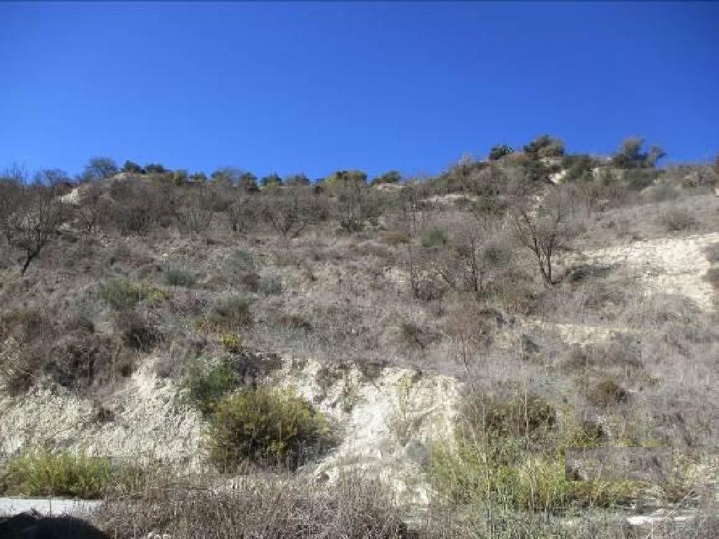 Tsada, Paphos Agricultural Field For Sale | WW30717