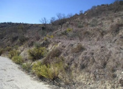 Tsada, Paphos Agricultural Field For Sale | WW30717