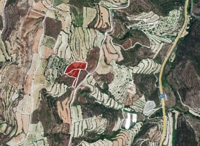 Tsada, Paphos Agricultural Field For Sale | WW30717