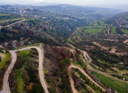 Psathi, Paphos Agricultural Field For Sale | WW30741