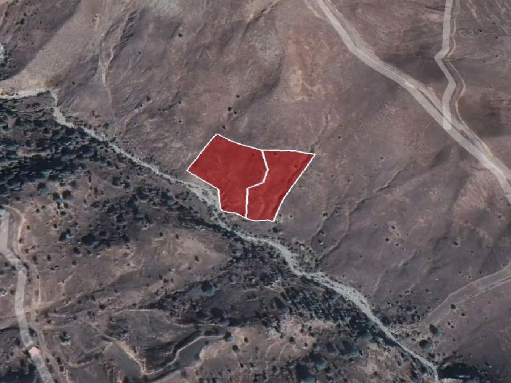 Fields - Koilineia, Paphos