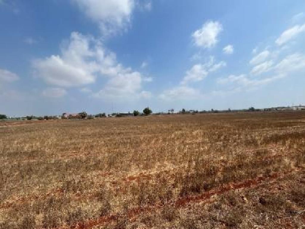 Frenaros, Famagusta Residential Field For Sale | WW30752