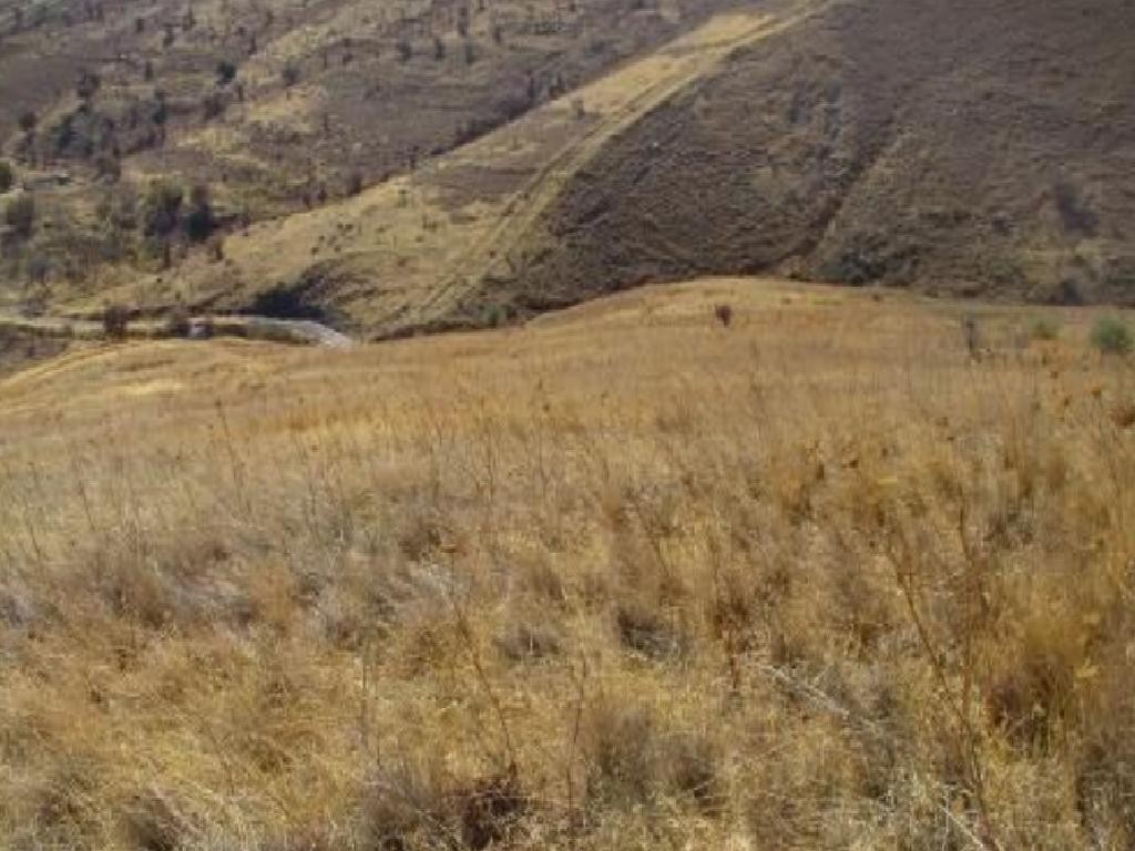 Galataria, Paphos Agricultural Field For Sale | WW30754