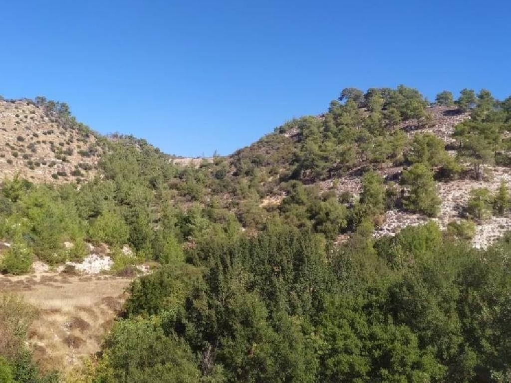 Pachna, Limassol Agricultural Field For Sale | WW30763