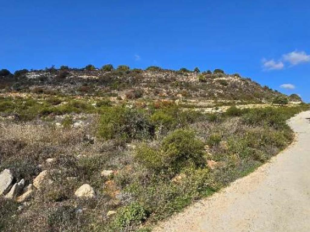 Dora, Limassol Agricultural Field For Sale | WW30764