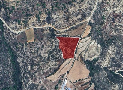 Dora, Limassol Agricultural Field For Sale | WW30764