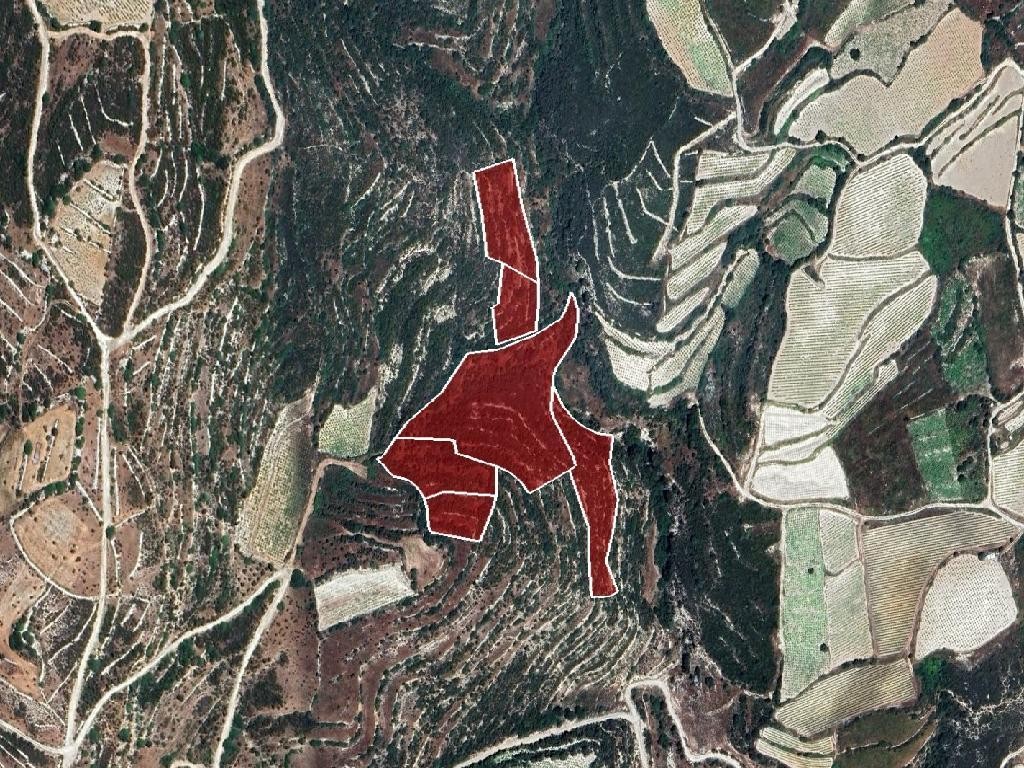 Field - Koilani, Limassol