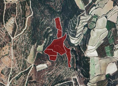 Koilani, Limassol Agricultural Field For Sale | WW30768