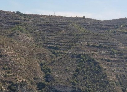 Koilani, Limassol Agricultural Field For Sale | WW30796