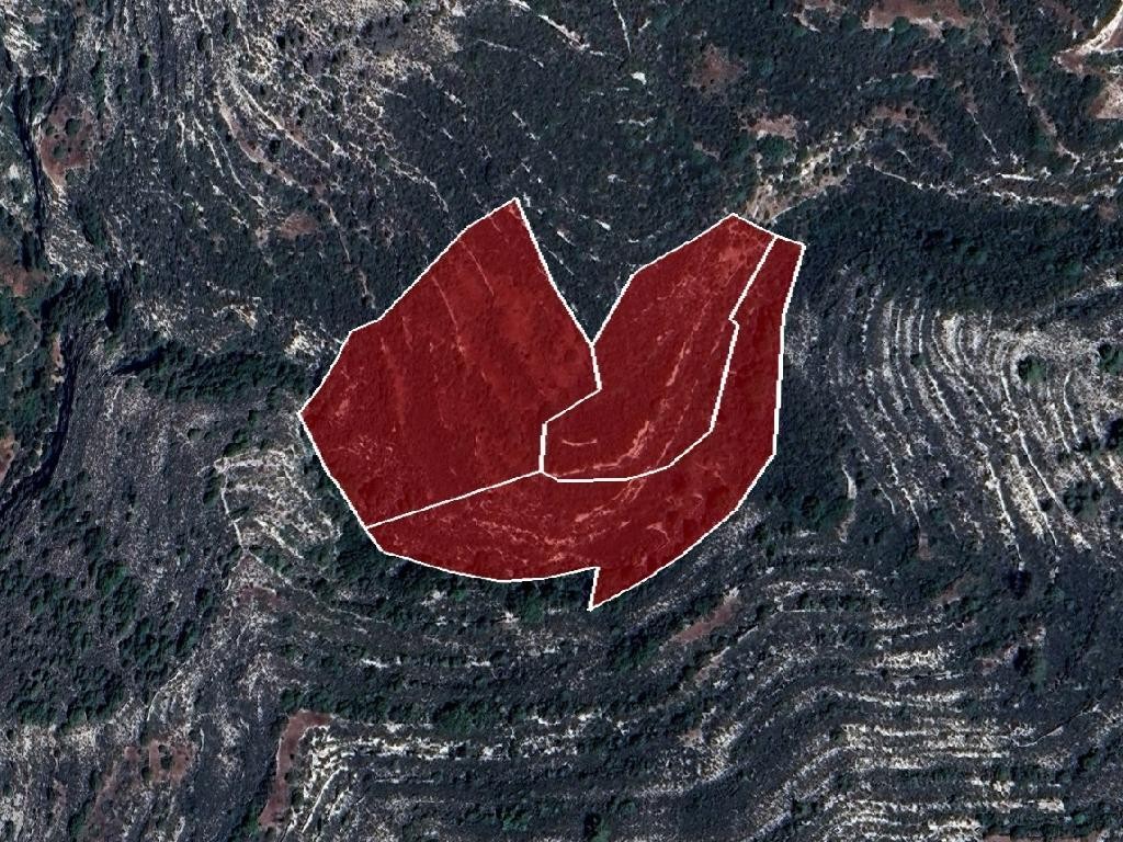 Field - Koilani, Limassol